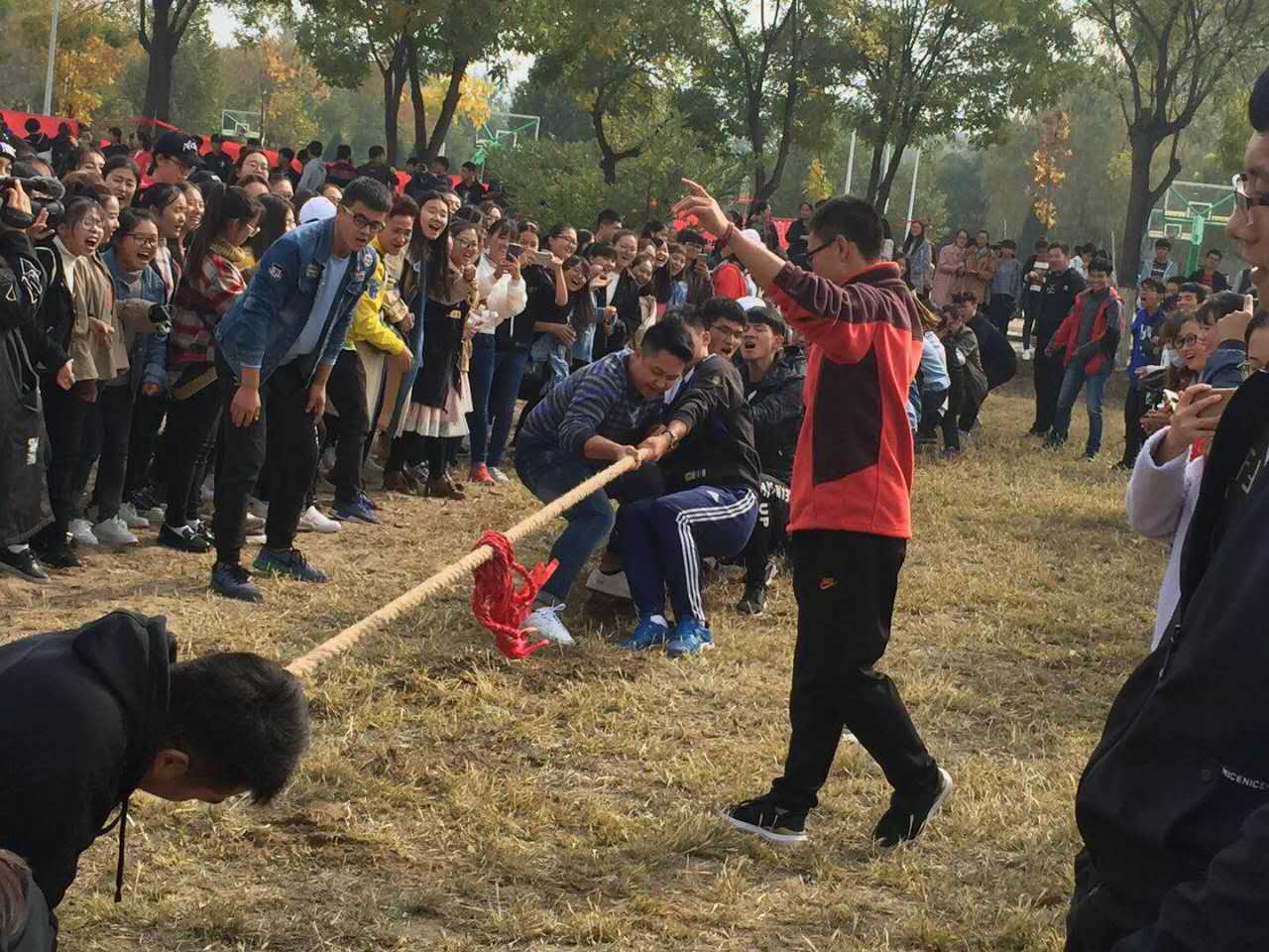 蓝鲸体育直播