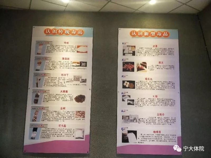 蓝鲸体育客户端